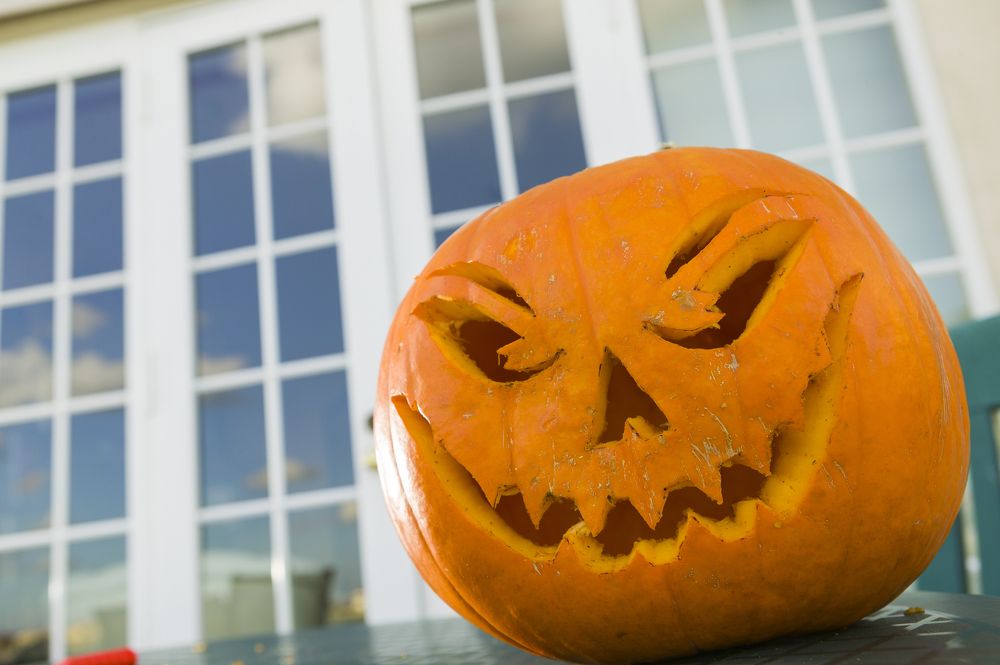 Photograph by JUAN SILVA