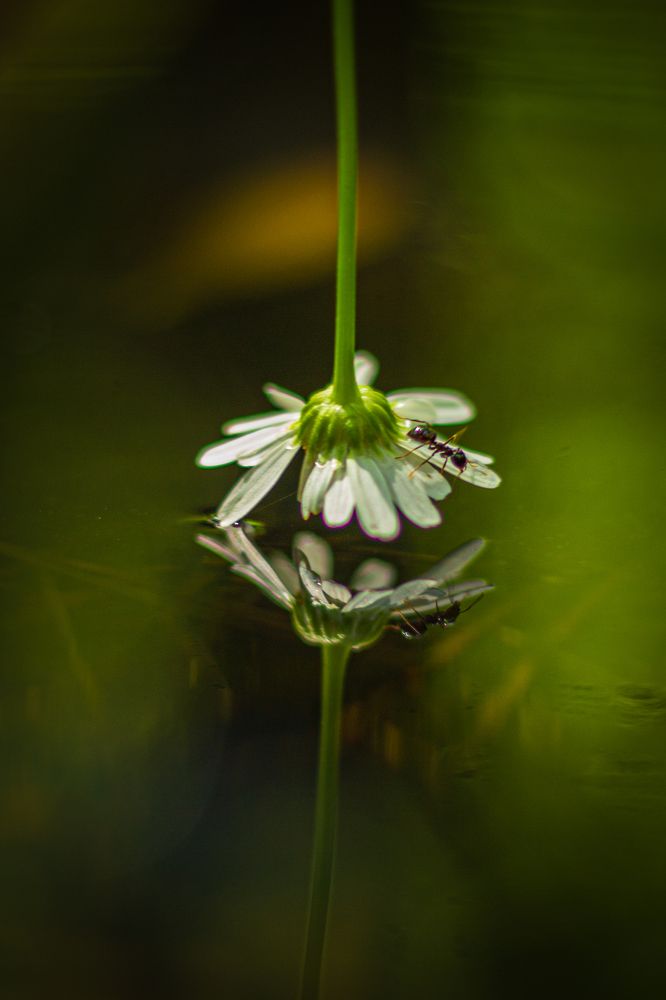 Photograph by Анна Осинцева