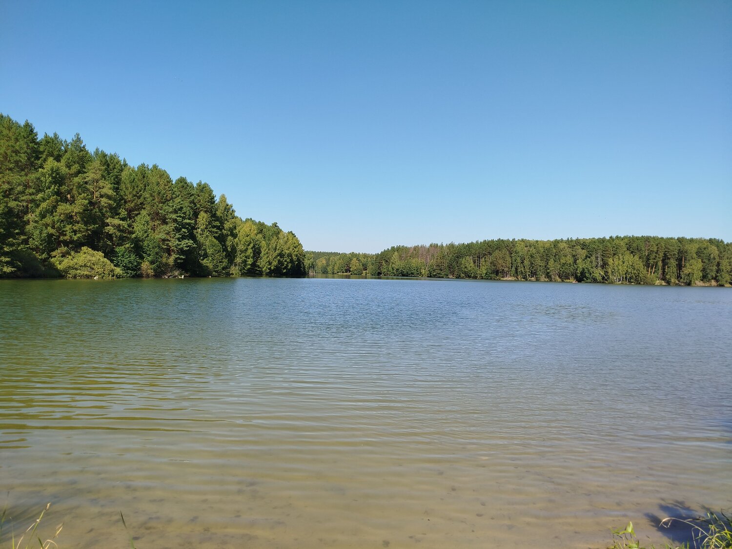 Photo #11269428