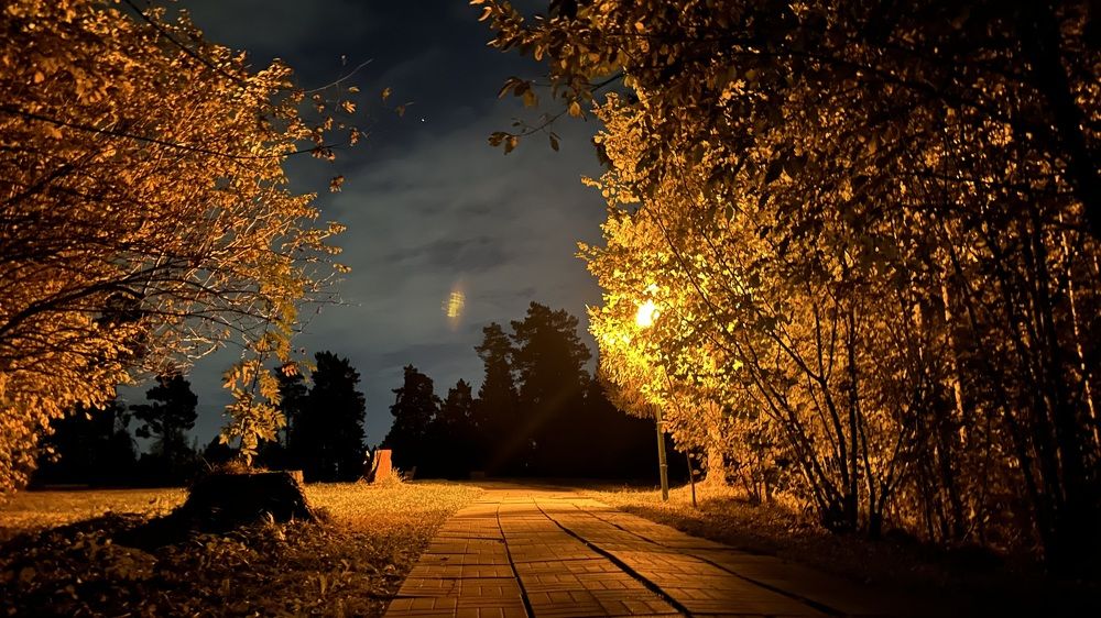 Фотография автора Митя