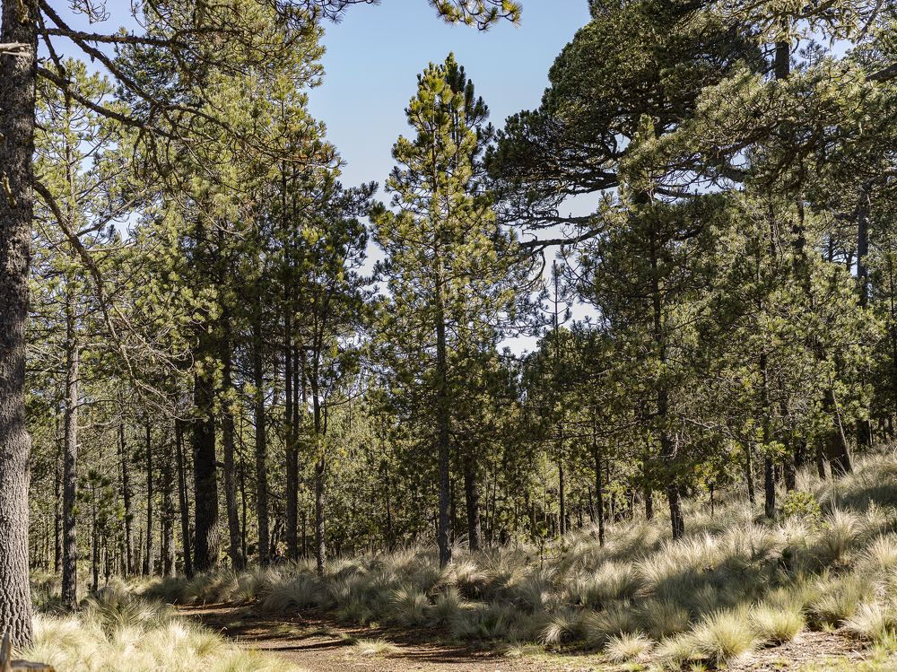 Photograph by Armando López-Guerrero