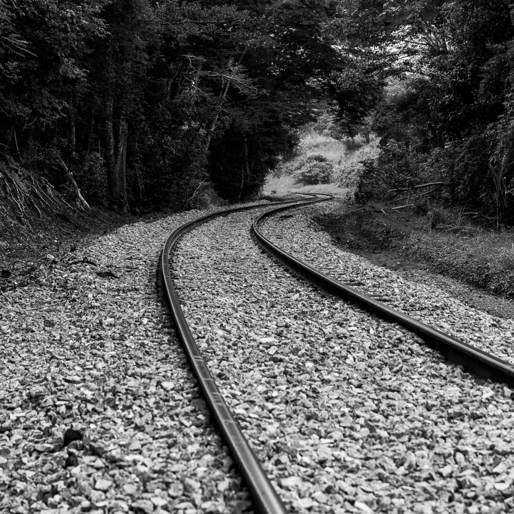 Photograph by Armando López-Guerrero