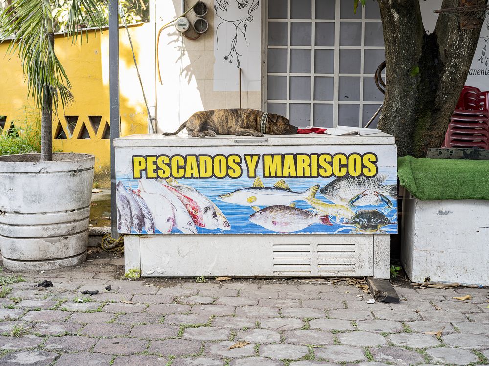 Photograph by Armando López-Guerrero