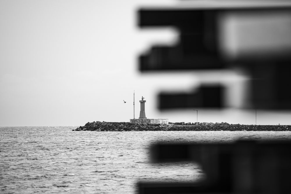 Photograph by Armando López-Guerrero