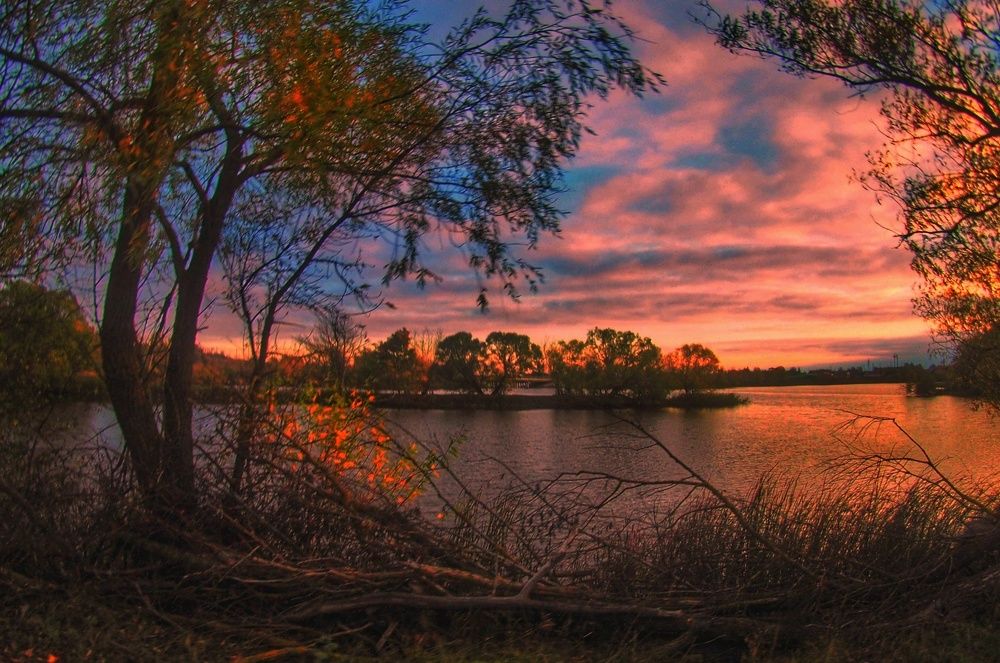 Photograph by Дмитрий Потапов