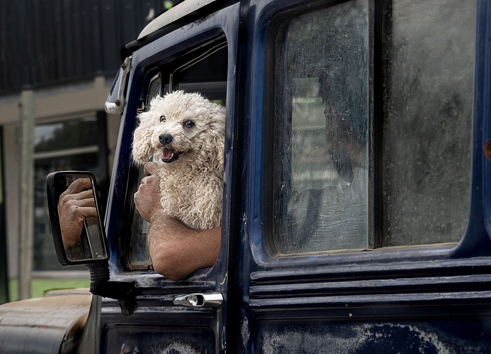 Фотография автора Bibiana Davini