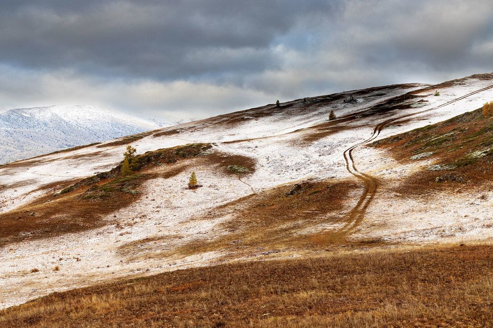Photograph by Морозов Сергей