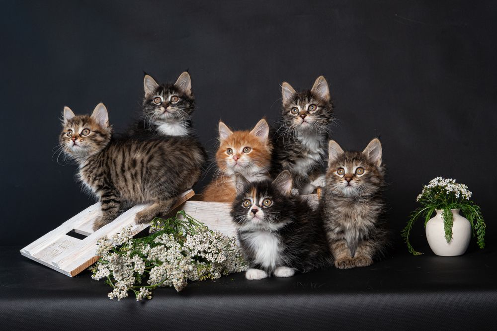 Photograph by Анна Моргачёва