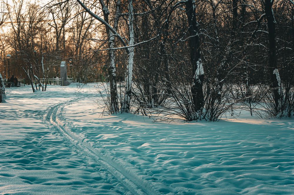 Photograph by Владимир Сушкин