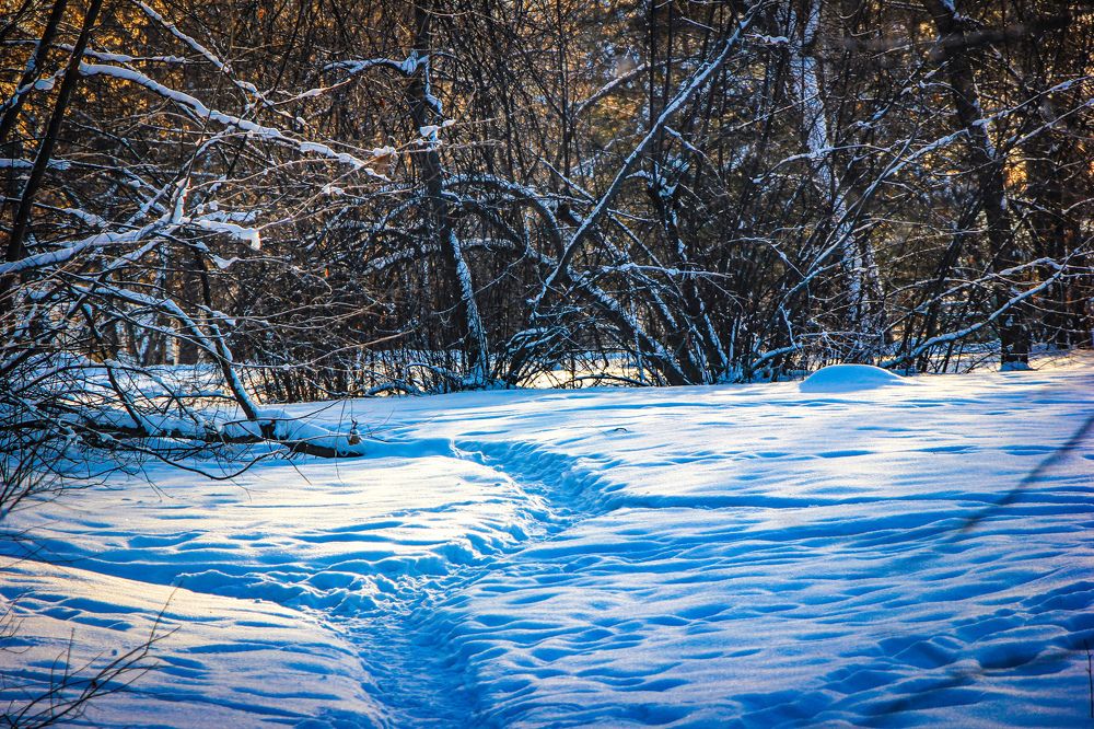 Photograph by Владимир Сушкин