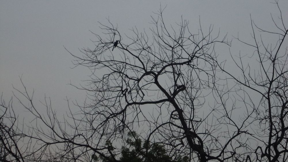 Photograph by Varun
