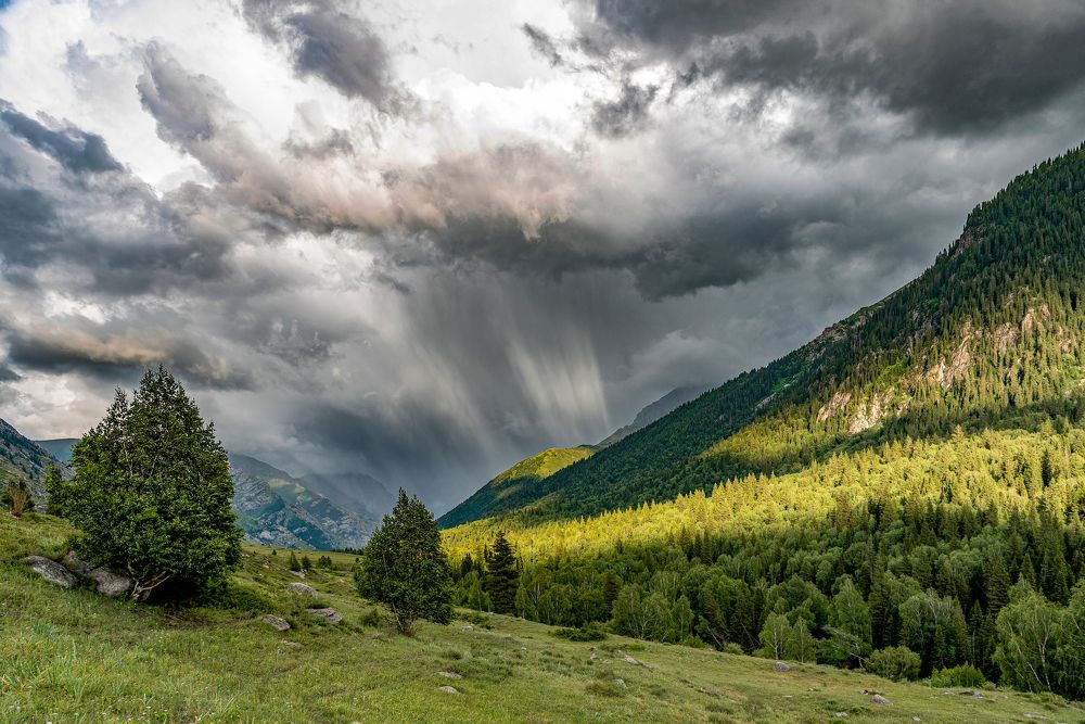 Photograph by Алексей Торлопов