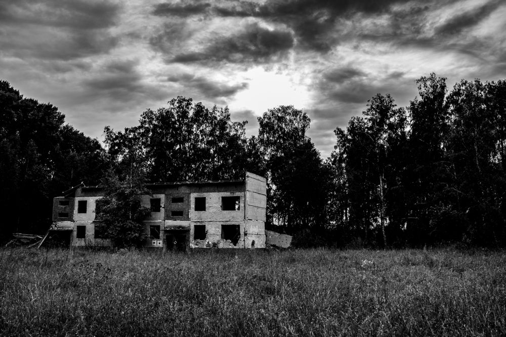 Фотография автора Максим Грибанов