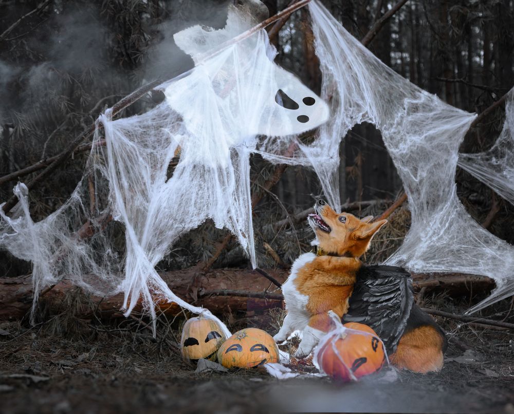 Photograph by Валерия Дурнева