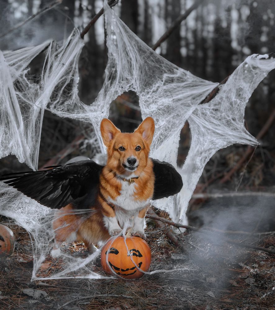 Photograph by Валерия Дурнева