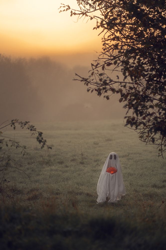 Photograph by Елена Мохонь