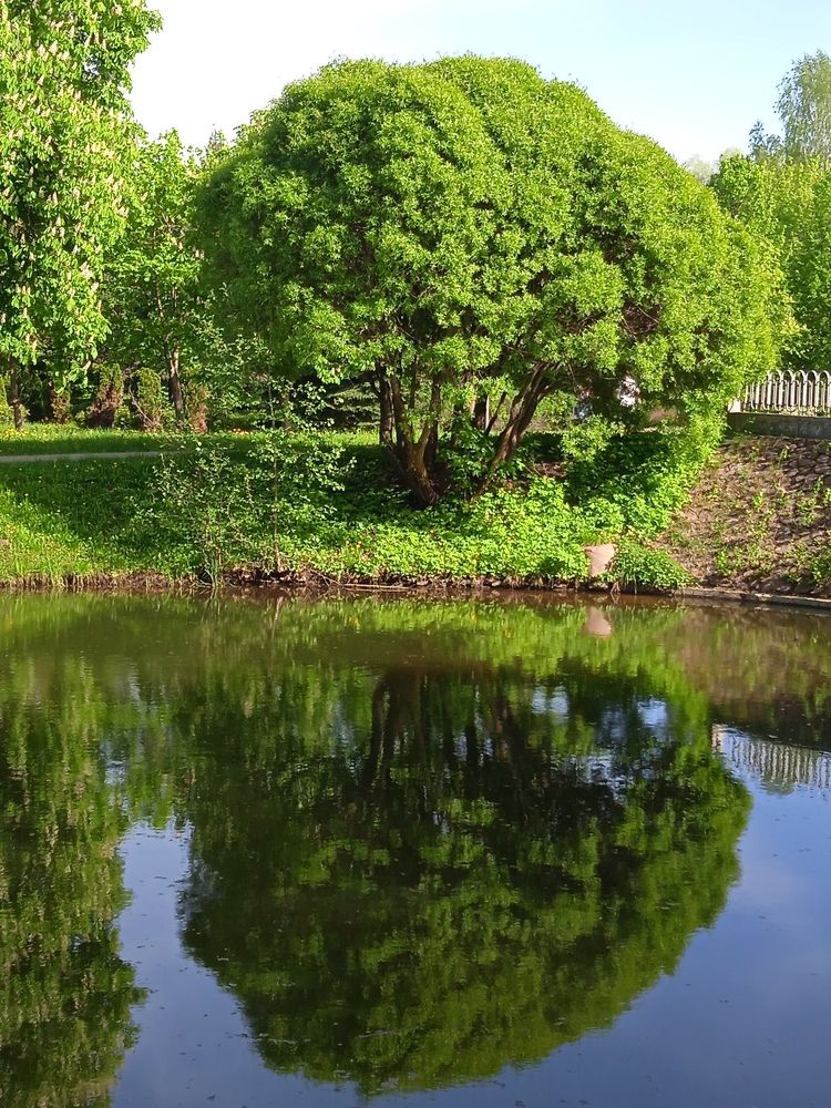 Photograph by Фёдор Викторович