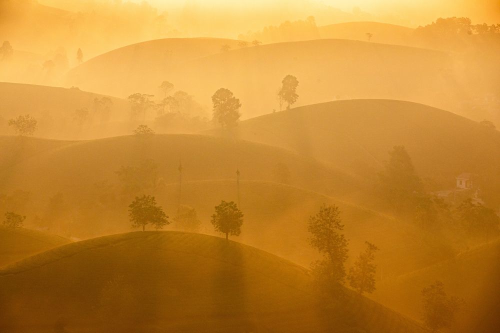 Photograph by Nguyen Thi Chieu Xuan
