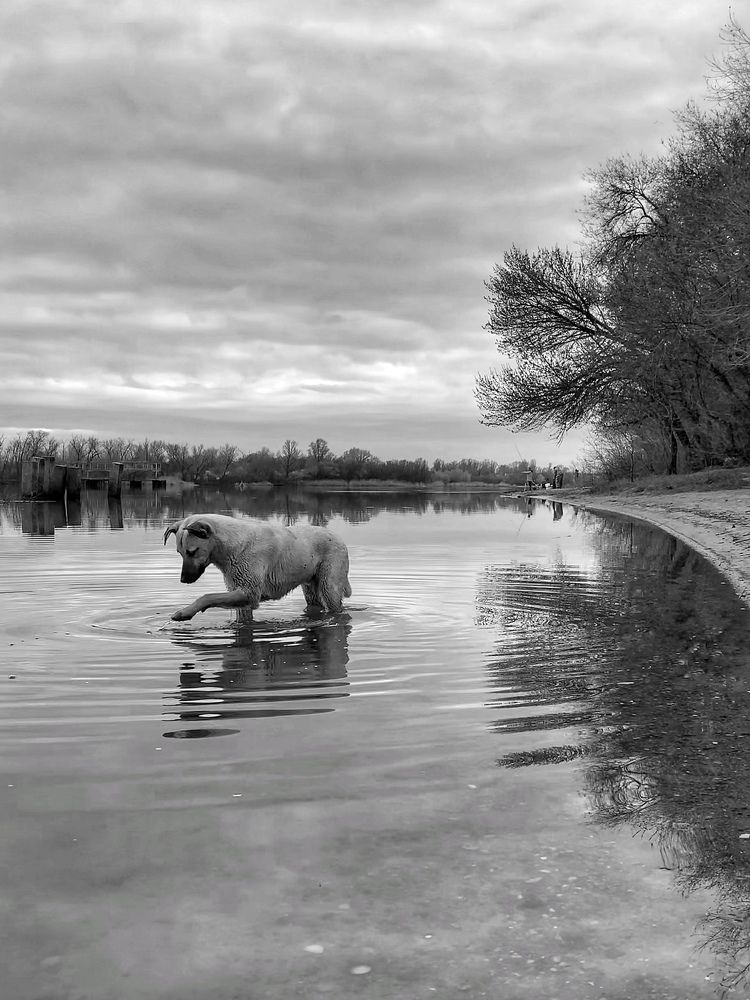 Фотография автора Tatiana Gongharova