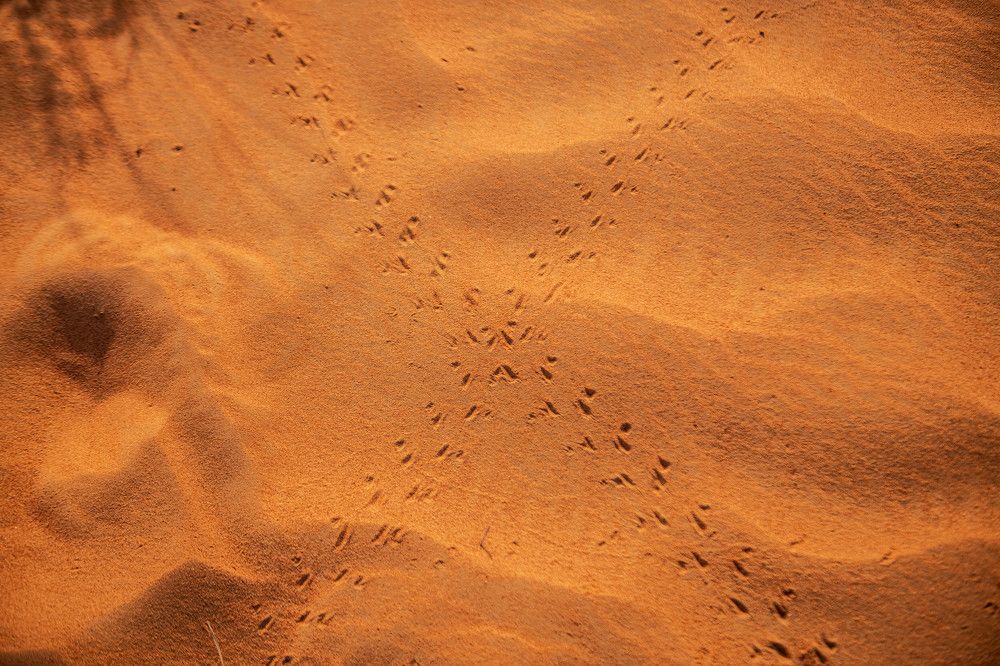 Photograph by Zubair Irshad