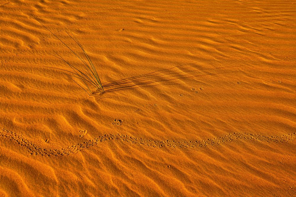 Photograph by Zubair Irshad