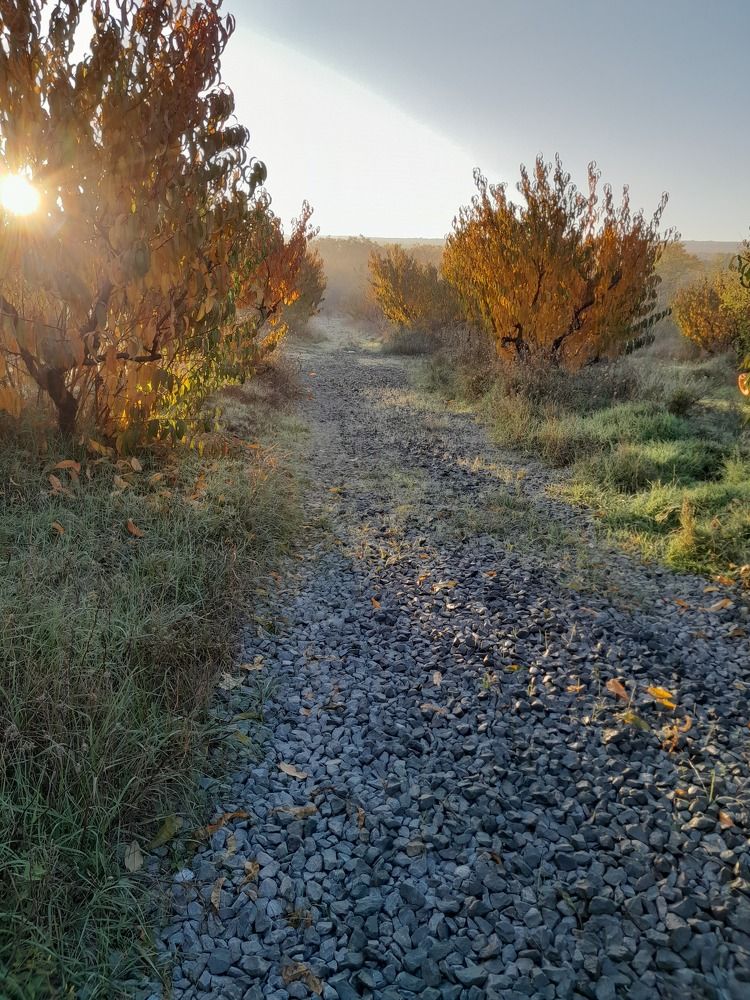 Photograph by Татьяна Ситникова