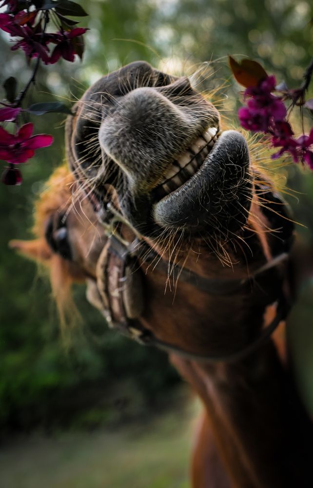 Photograph by Yulia Stepanova