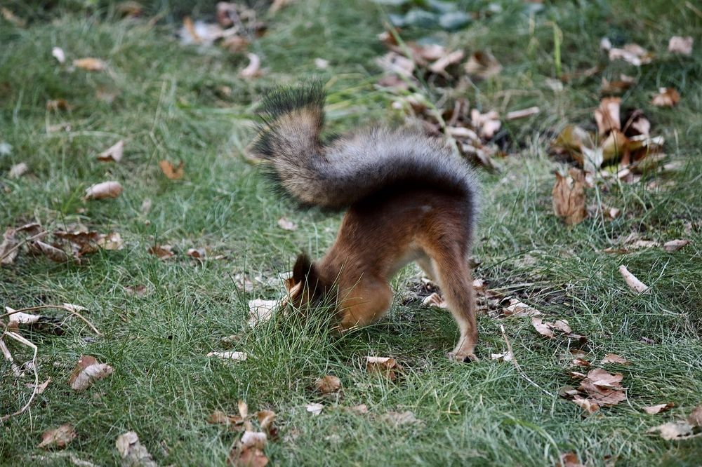 Photograph by Лариса Белашова