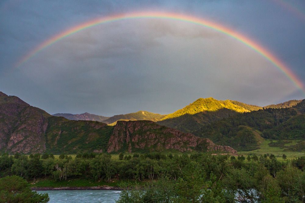 Фотография автора Totoro
