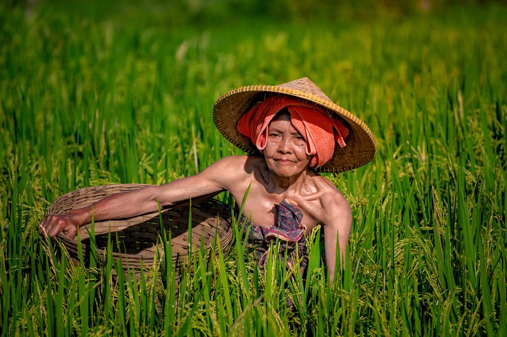 Фотография автора Frans Siregar Frans