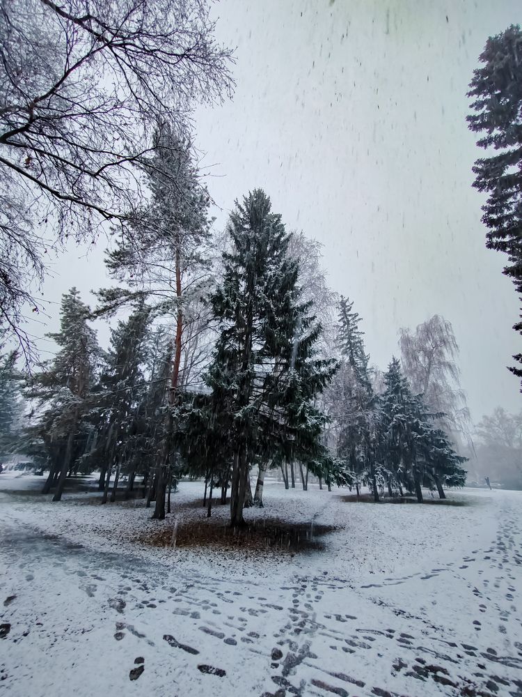 Photograph by Марина Панкова