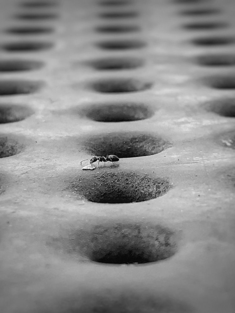 Фотография автора Tatiana Gongharova