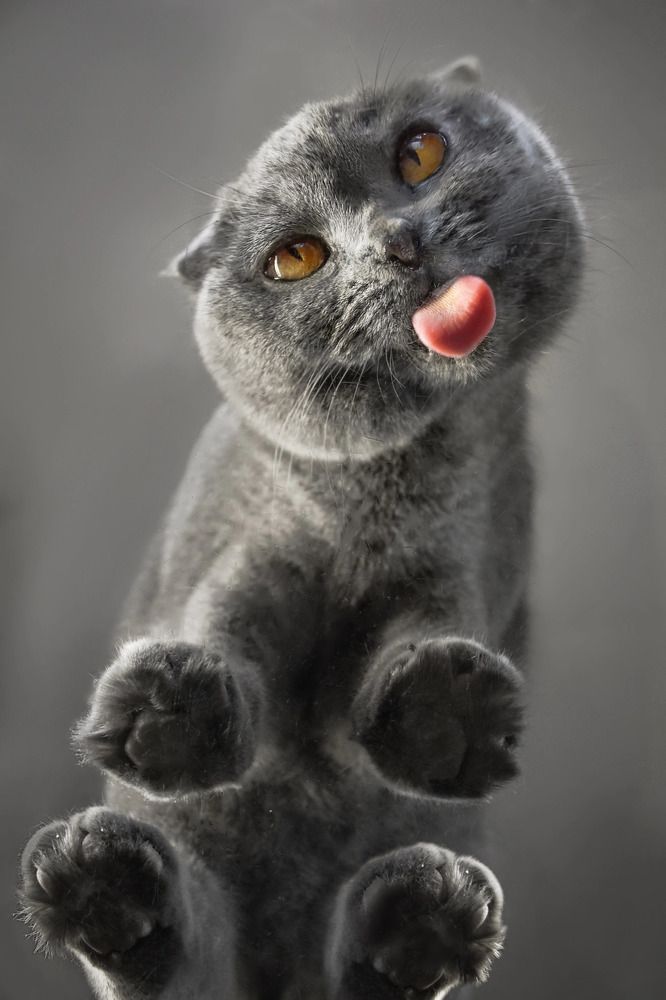 Photograph by Екатерина Леонова