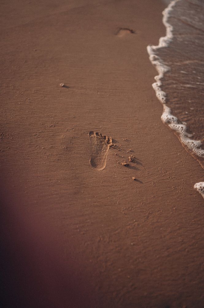 Photograph by Светлана Донская