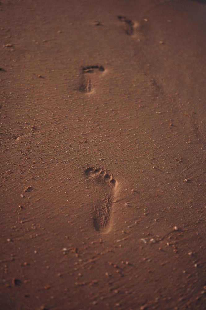 Photograph by Светлана Донская