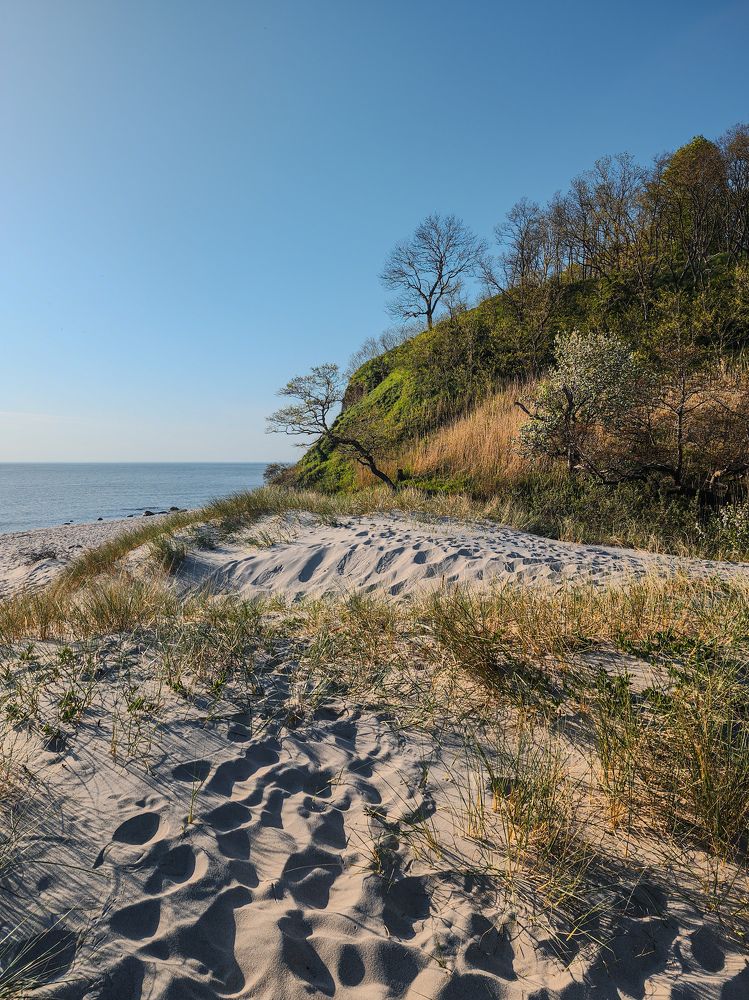 Photograph by Элен Пройс