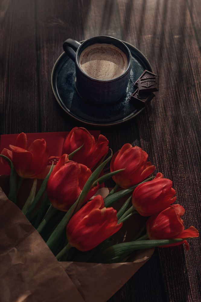 Фотография автора Альбина Кадочникова