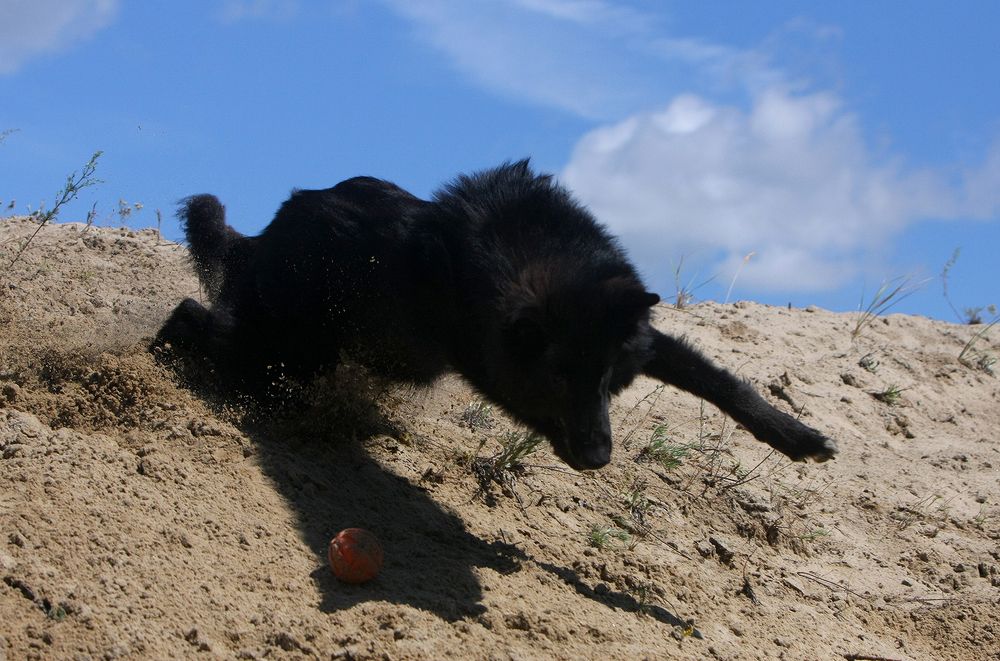 Фотография автора Надежда Лисицына