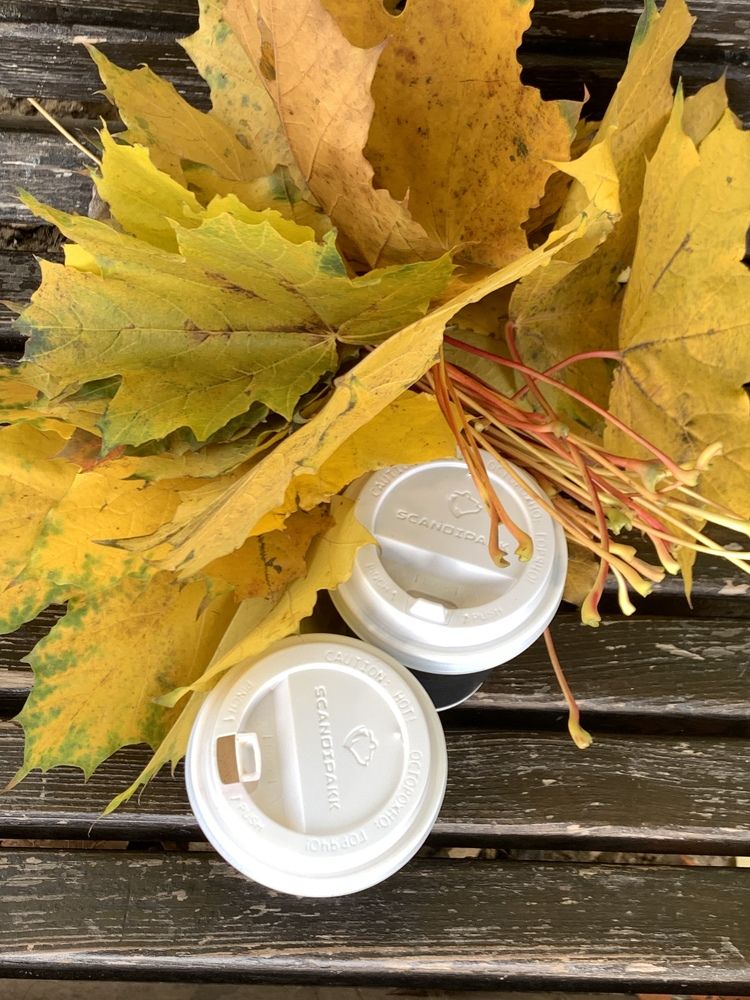 Photograph by гульназ замалеева