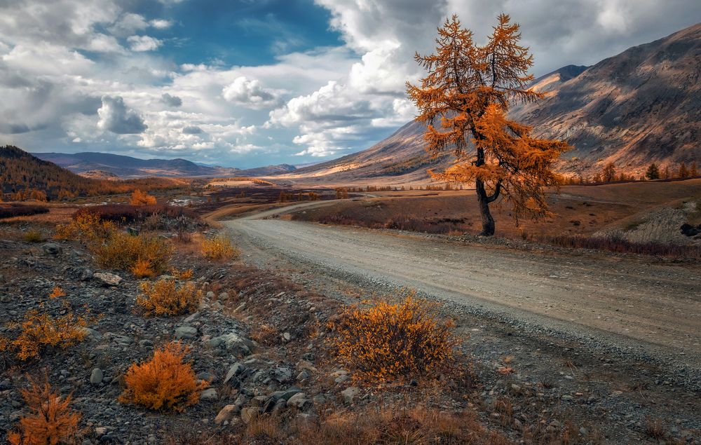 Photograph by Lora Pavlova