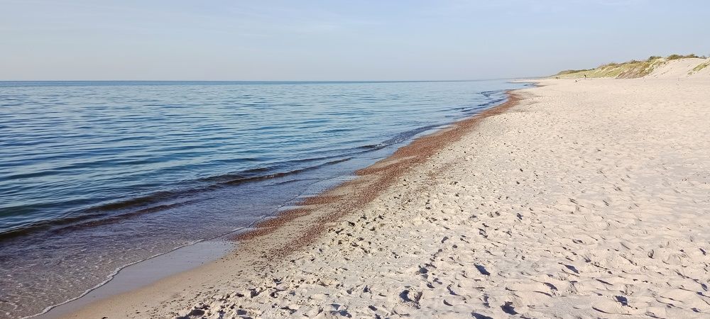 Photograph by Людмила Викулова