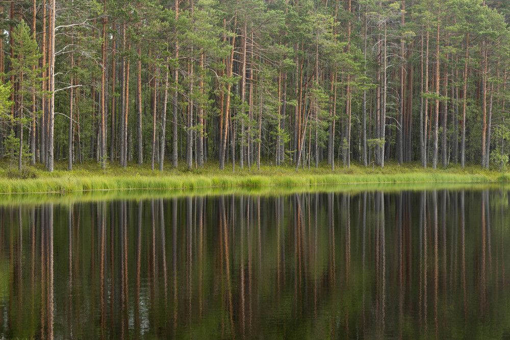 Фотография автора Van Gross