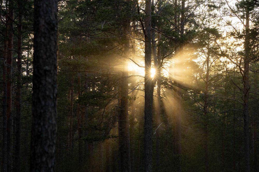 Фотография автора Van Gross