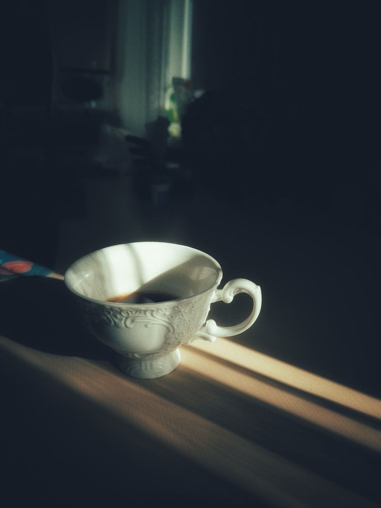 Фотография автора Екатерина Солодовник