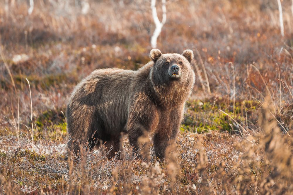 Photograph by Евгений Житников