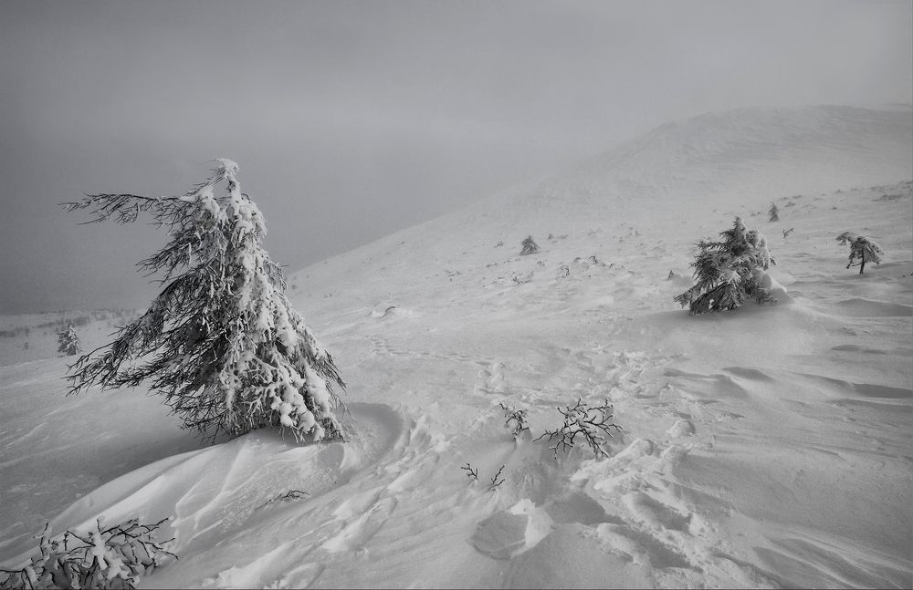 Photograph by Светлана Гореликова