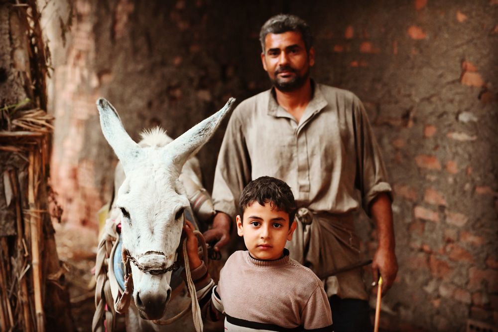 Photograph by  loai zedan