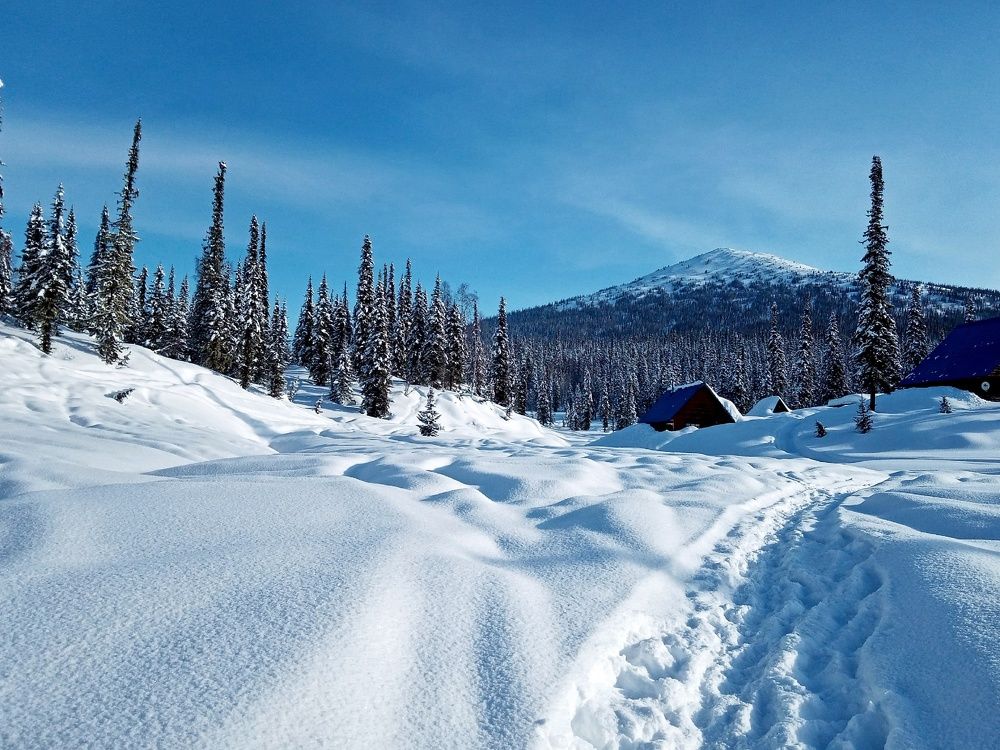 Photograph by Екатерина Осколкова