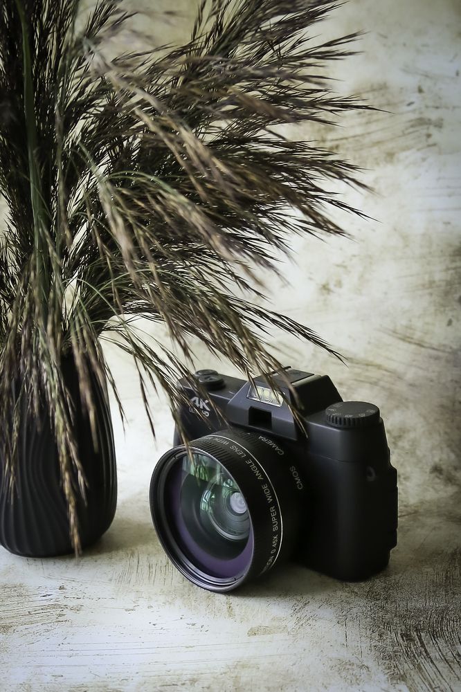 Photograph by Елена Болдырева