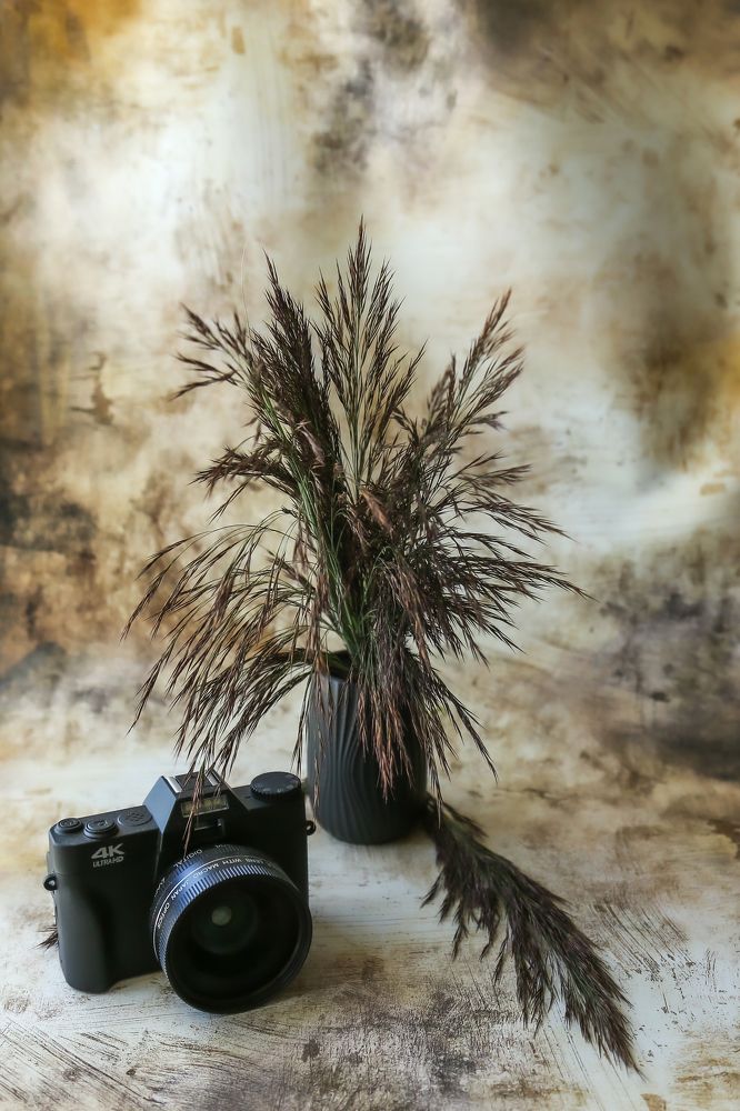 Photograph by Елена Болдырева